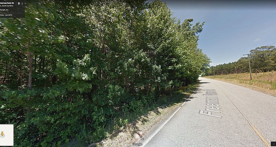 2nd image of 217 Freeman Farm Rd