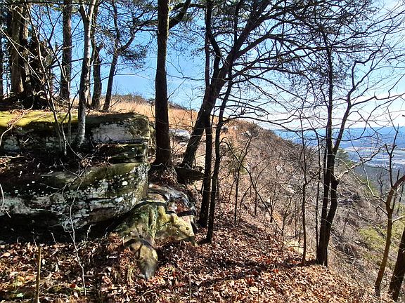 4th image of LOT 9 Lodge Point Rd