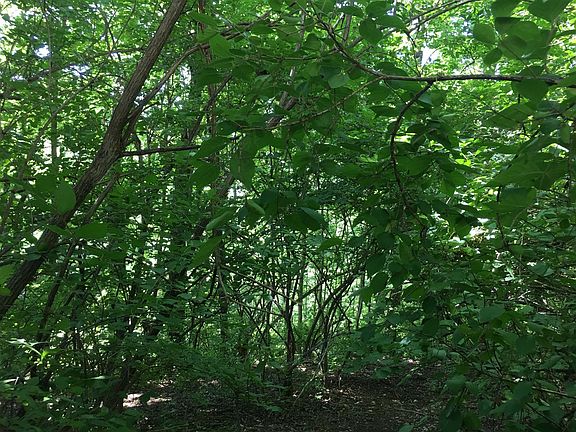 5th image of 718 Splitrail Dr