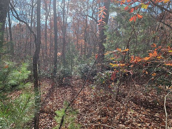 5th image of LOT 45 Hightop Mountain Est