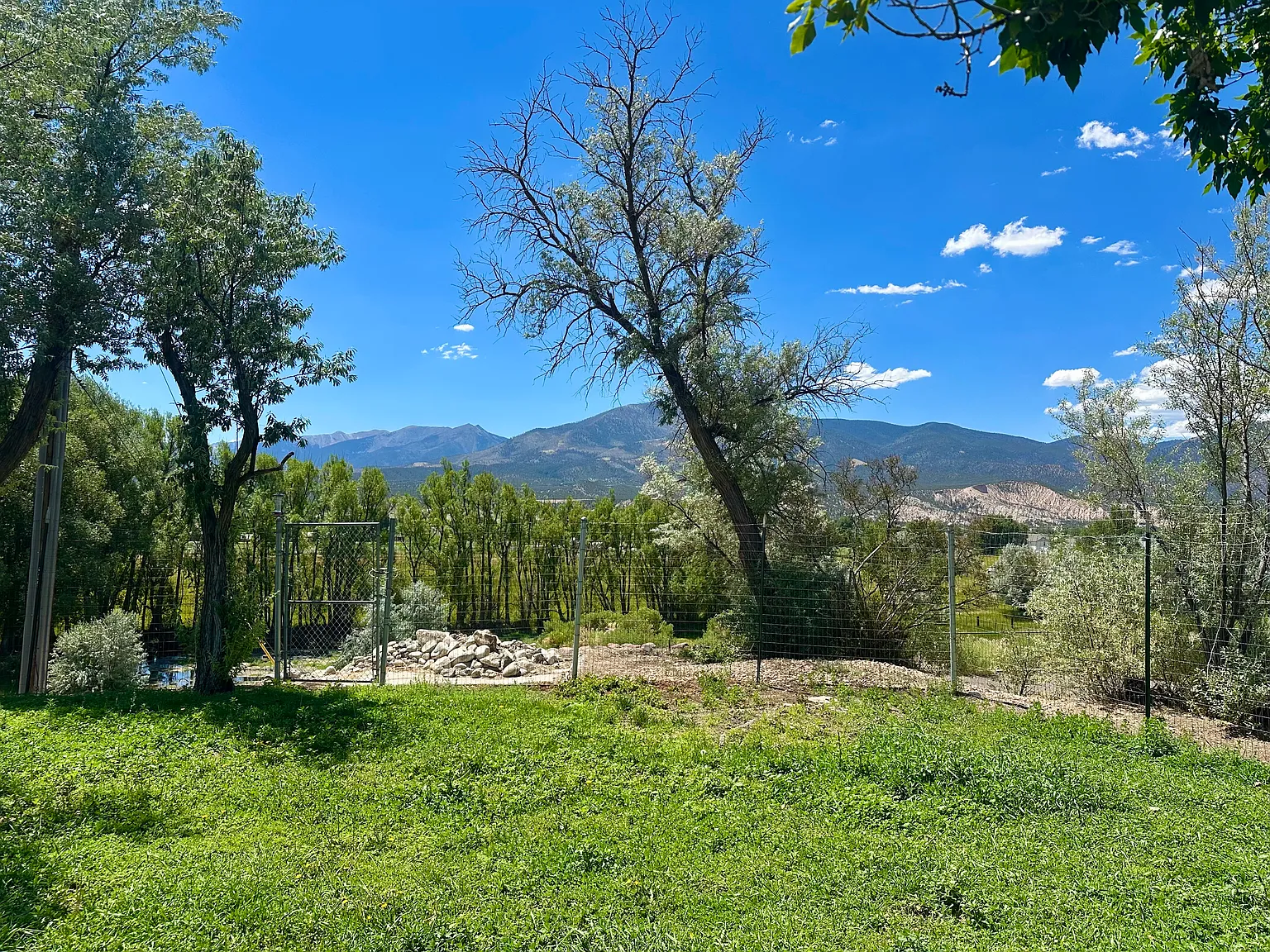 805 Poncha Blvd — Photo 3