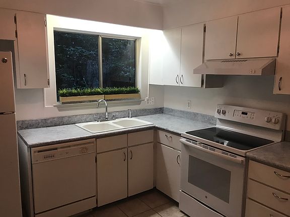 new cabinets & countertop