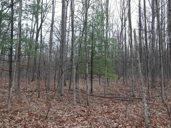 0 Boutilier Trl, Lake, MI 48632