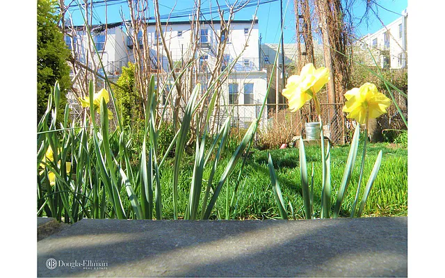 Rented by Douglas Elliman | media 40