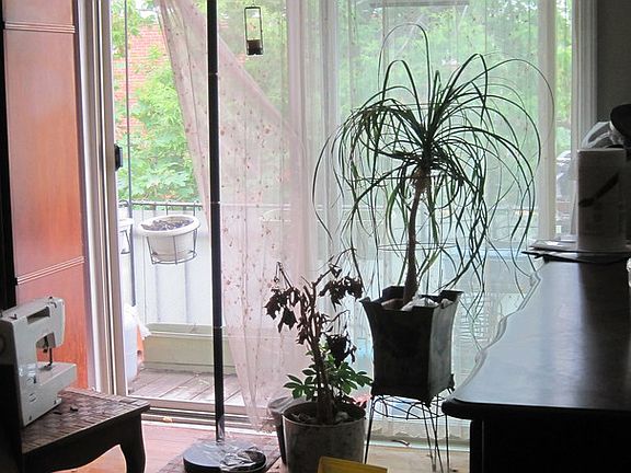 3rd image of 8995 Kennedy Dr APT 2H