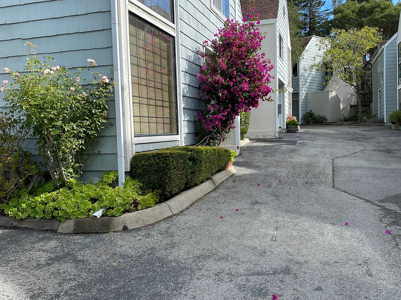 2 bed, 1292 sqft, $3,800 — Photo 1