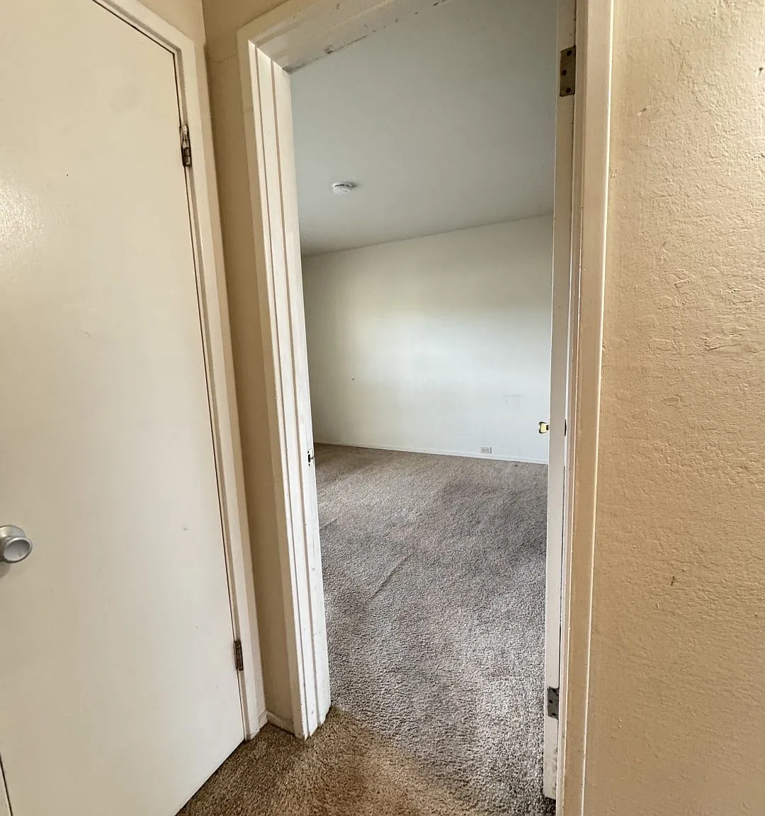 2 bed, 1150 sqft, $2,195 — Photo 3