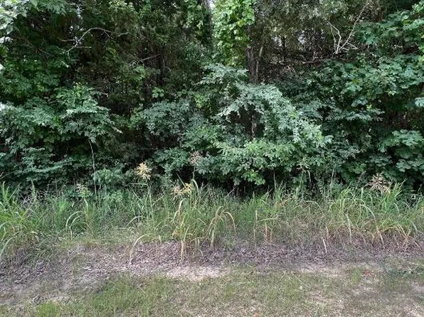 W Cedar Ln, Lead Hill, AR 72644