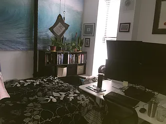 Rented by Aryeh Realty