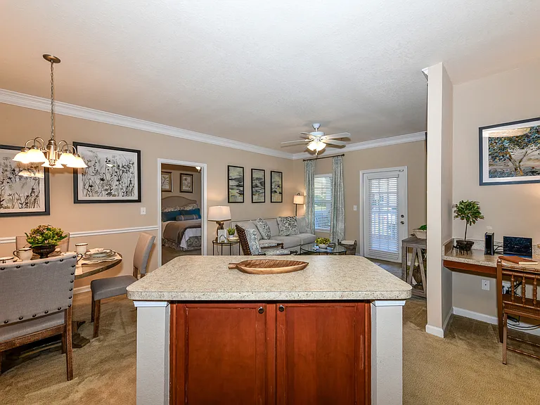Kitchen Island and Living Area