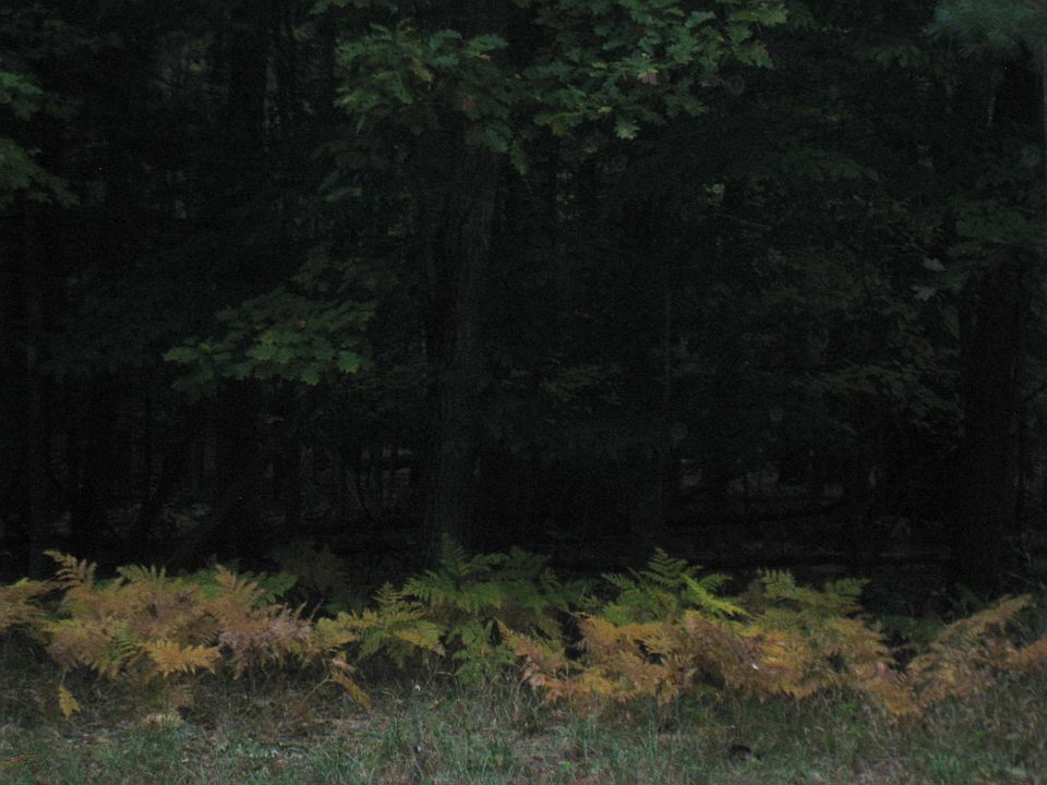 1st image of 0 W Old Channel Trl #Par