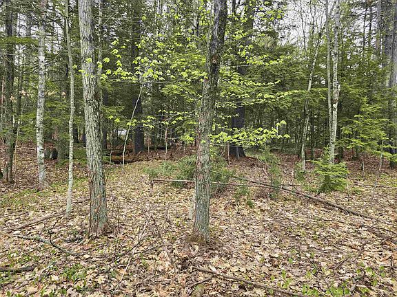 2nd image of Lot 260 Thompson Road