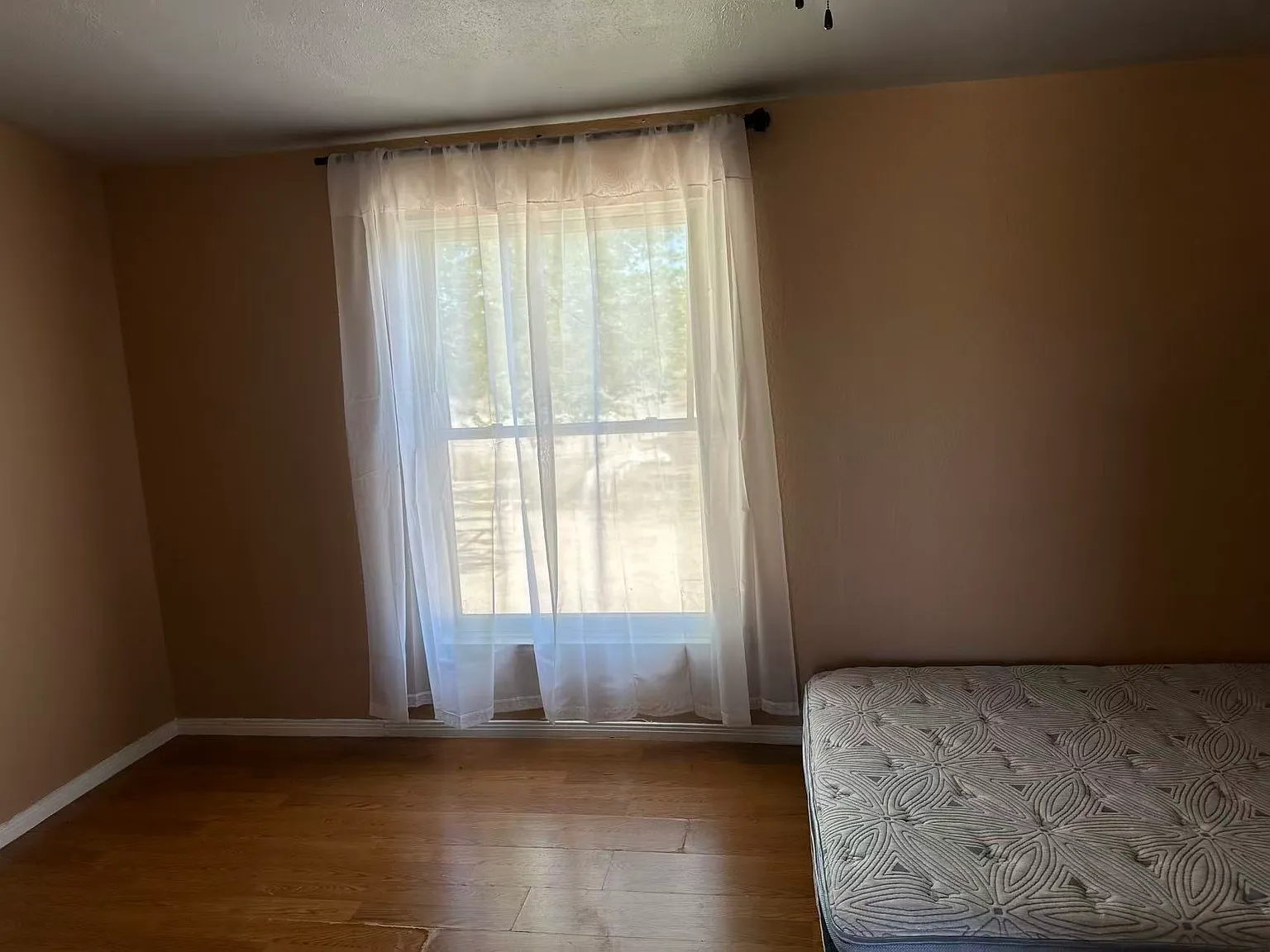 3 bed, 1600 sqft, $2,000 — Photo 3