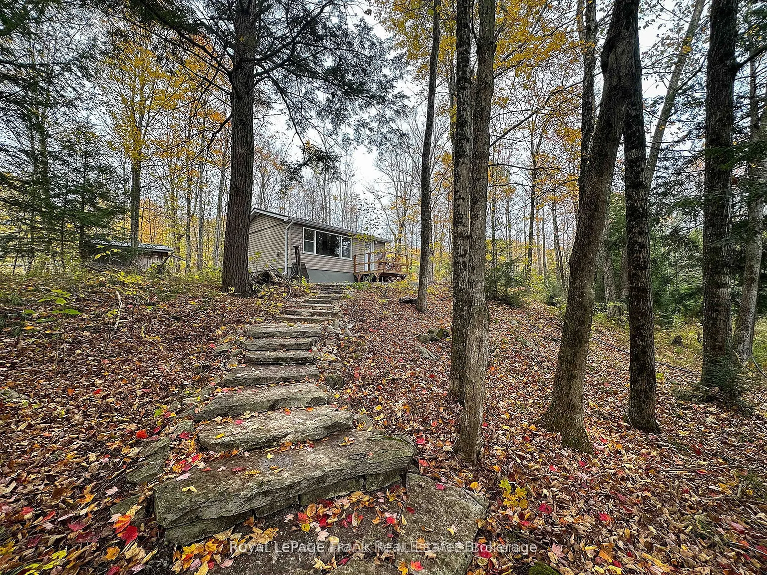 2 bed, $1,950 — Photo 3
