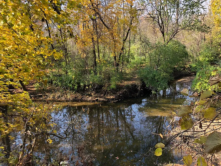 Rocky Fork Dr — Photo 6