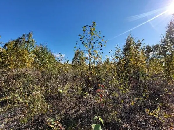 V/l 208ac County Rd #451, Rogers City, MI 49779