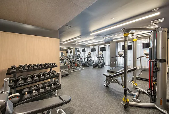 Rented by Monarch Realty Group | media 7