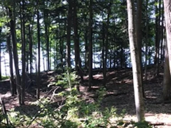 0 Pristine Woods Ln, Bellaire, MI 49615