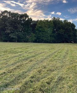 Beechtop Way, Corryton, TN, 37721