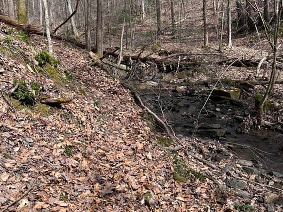 5th image of Watson Hollow Rd