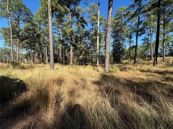 57 Private Road 6028 Lot 57, Brookeland, TX 75931