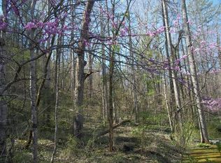 Domar Ct, Townsend, TN 37882