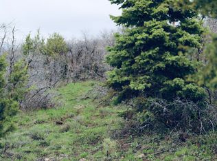 14055 S Oak Ridge Cir, Mount Pleasant, UT 84647