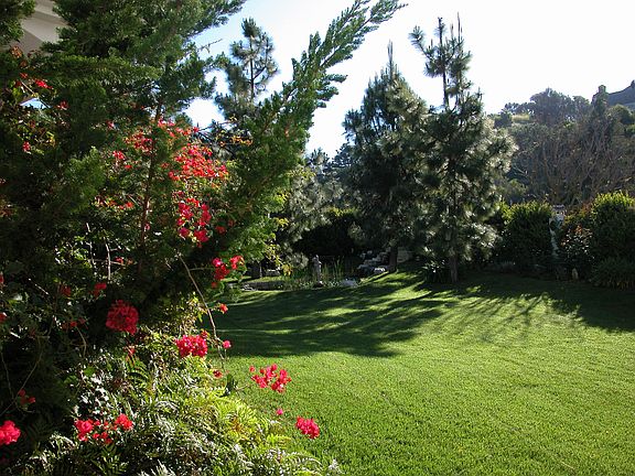 Colorful Grounds