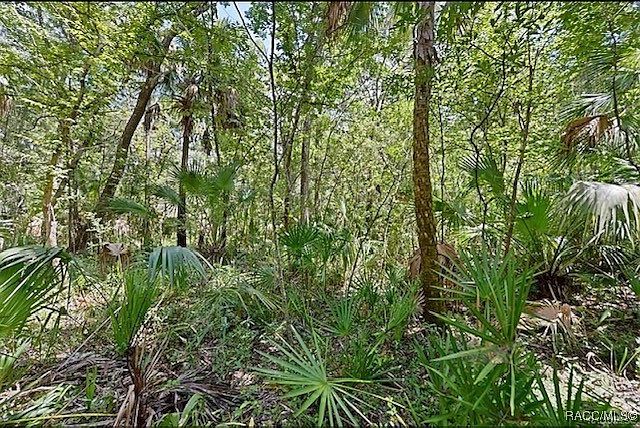 1st image of 11070 W Bareto Ln