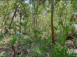 11070 W Bareto Ln, Homosassa, FL 34448