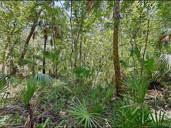 11070 W Bareto Ln, Homosassa, FL 34448