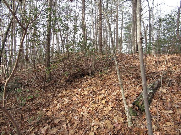 4th image of 110 Fireside Ln