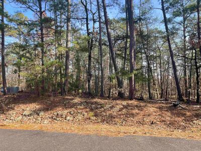 49 Glorieto Way, Hot Springs Village, AR, 71909