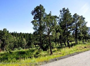401 Cummings Dr, Ruidoso, NM 88345