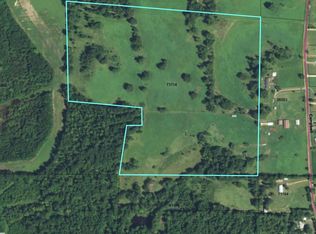 4364 Hawk Rd, Diana, TX 75640