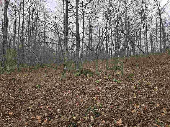 4th image of LOT 7 High Pines Trl