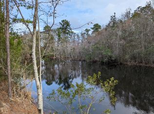 111 Flint Branch Church Rd, Jesup, GA 31545