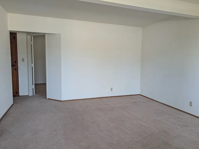 Living Room with lots of light,