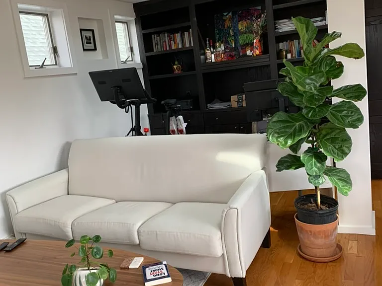 Photo shows bookshelf and skylight in living room. There are 2 skylights in LR.