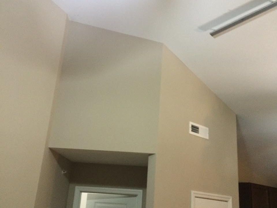 Vaulted Ceilings