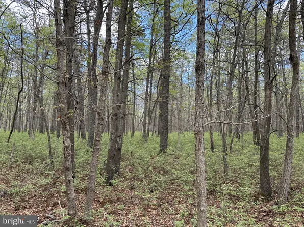 0 Granville Dr, Tuckerton, NJ 08087