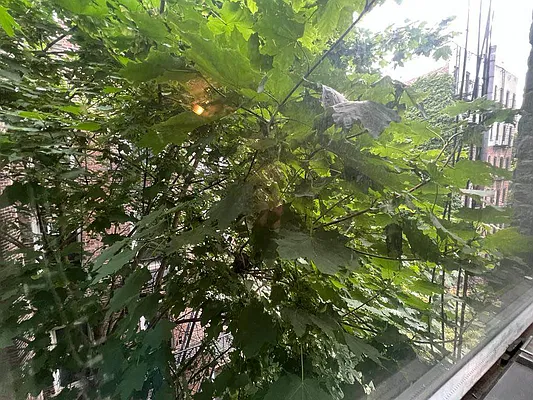 Rented by Best Apartments North Inc | media 19