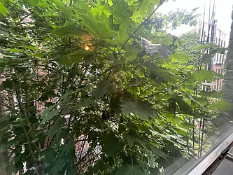 Rented by Best Apartments North Inc