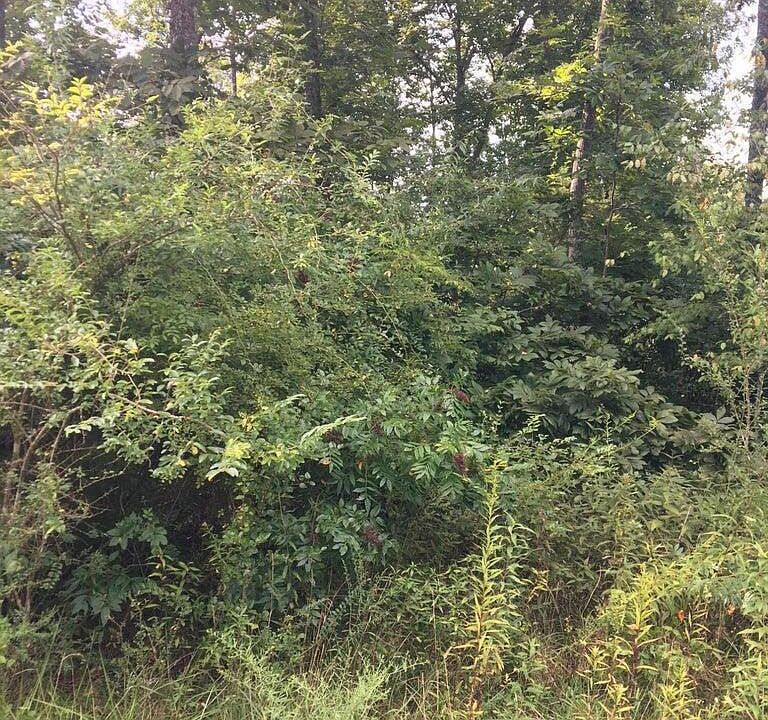 1st image of 6028 Running Creek Dr