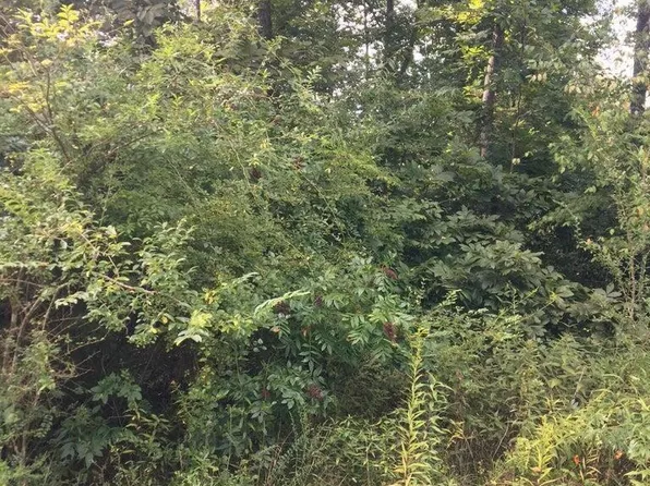 6028 Running Creek Dr, Crossville, TN 38572