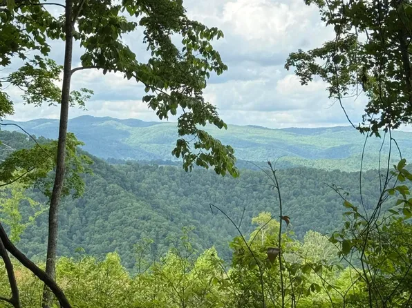 0 Heavens View Ln #118, Gate City, VA 24251