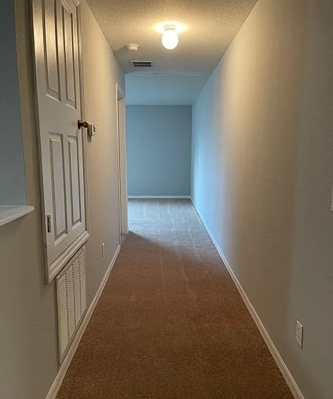 1144 Blackwater Pond Dr — Photo 17