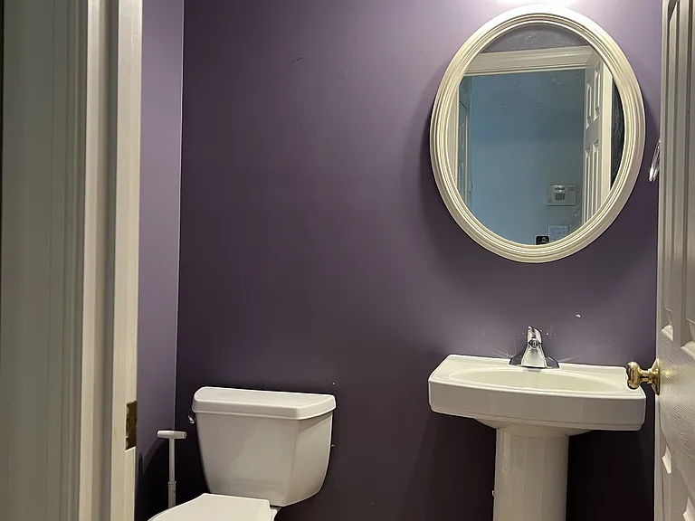 Half Bathroom (downstairs)