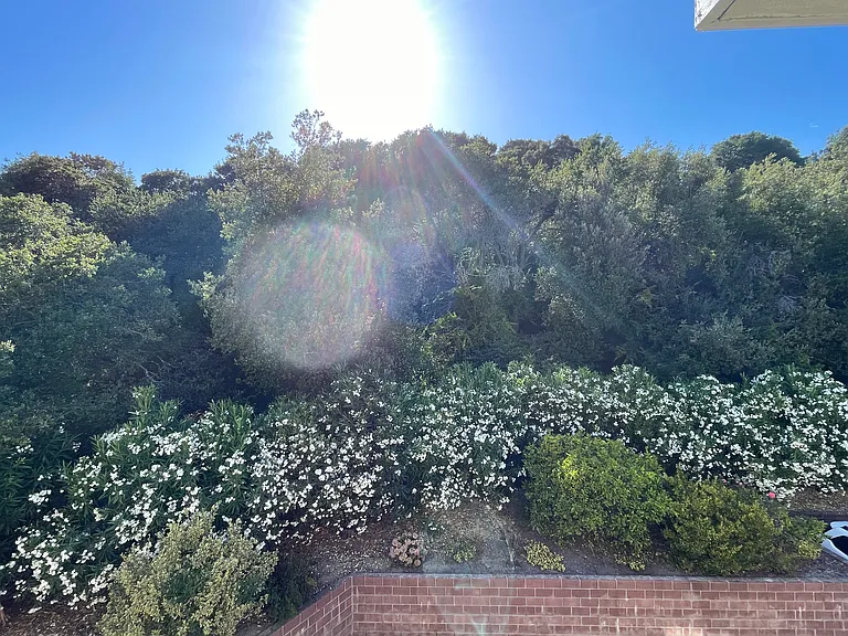 3224 Palos Verdes Ct #305 — Photo 12