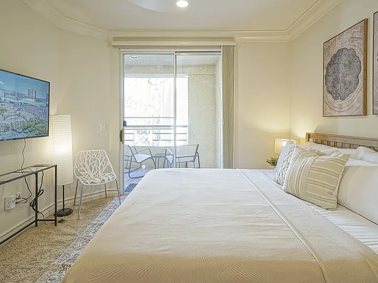 260 E Flamingo Rd #205 — Photo 28